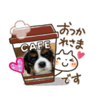 Sola と一緒（個別スタンプ：16）