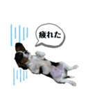 Sola と一緒（個別スタンプ：23）