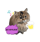わかちゃんとふくちゃん（個別スタンプ：3）
