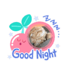 わかちゃんとふくちゃん（個別スタンプ：10）
