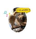 わかちゃんとふくちゃん（個別スタンプ：11）