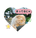 わかちゃんとふくちゃん（個別スタンプ：12）