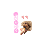 うちのリリィ♡（個別スタンプ：3）
