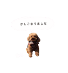 うちのリリィ♡（個別スタンプ：6）