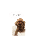 うちのリリィ♡（個別スタンプ：8）