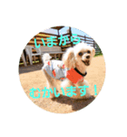 リアンの日常♫（個別スタンプ：4）