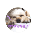 リアンの日常♫（個別スタンプ：7）