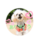 リアンの日常♫（個別スタンプ：8）