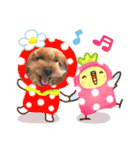 もかちゃんのきもち（個別スタンプ：4）