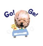 もかちゃんのきもち（個別スタンプ：16）