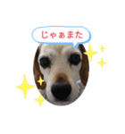 ろんちゃんず.2（個別スタンプ：1）