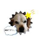 ろんちゃんず.2（個別スタンプ：3）