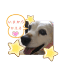ろんちゃんず.2（個別スタンプ：6）