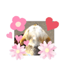 ろんちゃんず.2（個別スタンプ：13）