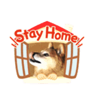 今日の氷土くん その②（個別スタンプ：2）