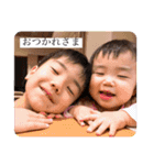 てらちゃんとゆかいななかまたち（個別スタンプ：12）