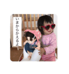 てらちゃんとゆかいななかまたち（個別スタンプ：13）