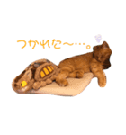 グルとネル（個別スタンプ：7）