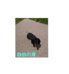 だっくすさん（個別スタンプ：3）