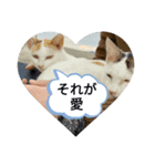 爽やかスタンプ☆4（個別スタンプ：8）