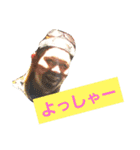 甘党虎党さん(^-^)（個別スタンプ：33）