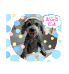 ニッコリ♪にこまる（個別スタンプ：3）