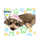 ニッコリ♪にこまる（個別スタンプ：4）