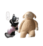 チワワkiri（個別スタンプ：11）