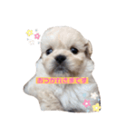 ココちゃんから毎日癒しのメッセージ（個別スタンプ：2）