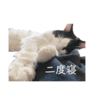 ビーちゃん。（個別スタンプ：4）