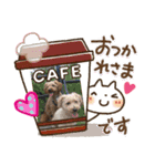 うちのワンチャンず（個別スタンプ：6）
