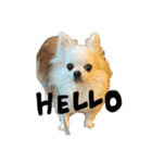 ちっったん（個別スタンプ：1）