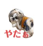 ノエルの日常会話（個別スタンプ：3）