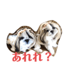 ノエルの日常会話（個別スタンプ：4）