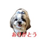 ノエルの日常会話（個別スタンプ：6）