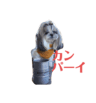 ノエルの日常会話（個別スタンプ：12）
