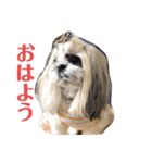 ノエルの日常会話（個別スタンプ：13）