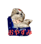 ノエルの日常会話（個別スタンプ：14）