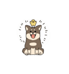 柴わんちゃんととりさん（個別スタンプ：1）