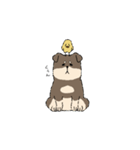 柴わんちゃんととりさん（個別スタンプ：3）