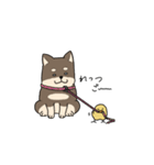 柴わんちゃんととりさん（個別スタンプ：40）