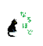 ドット子猫（個別スタンプ：1）