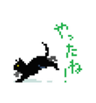 ドット子猫（個別スタンプ：12）