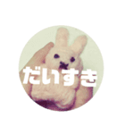 羊毛☆ぶさいく☆ちゃん（個別スタンプ：5）