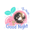 愛犬アズキ「My Love」（個別スタンプ：2）