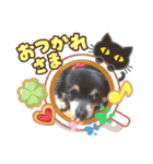愛犬アズキ「My Love」（個別スタンプ：4）