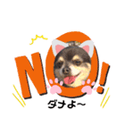 愛犬アズキ「My Love」（個別スタンプ：8）