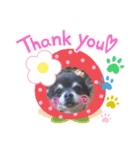 愛犬アズキ「My Love」（個別スタンプ：10）