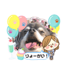 愛犬アズキ「My Love」（個別スタンプ：13）