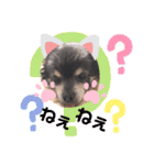 愛犬アズキ「My Love」（個別スタンプ：14）